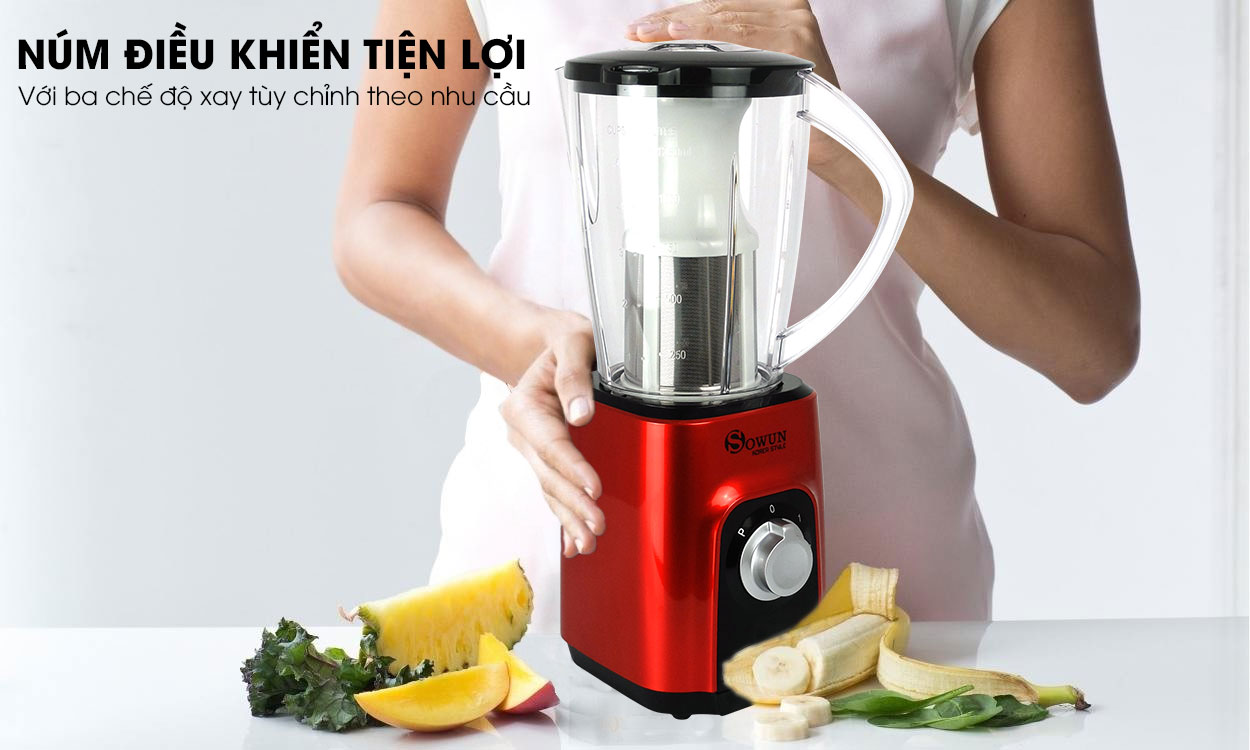 Máy xay sinh tố đa năng Sowun SW 529S hiện đại